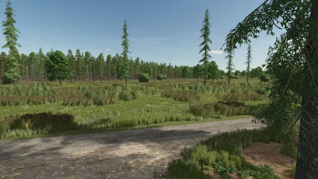 Sunshine Forest Map V1.0.0.5